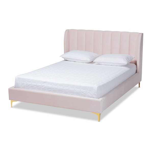 Baxton Studio Saverio Pink Velvet Queen Size Platform Bed with Gold-Tone Legs - 156-9099