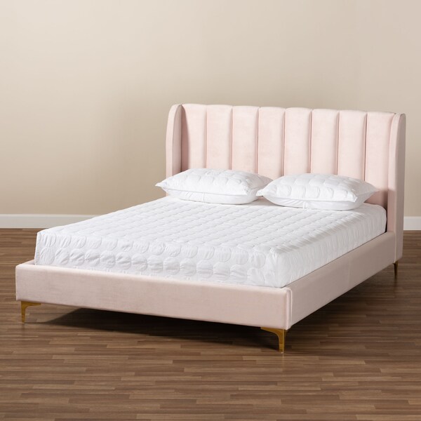 Baxton Studio Saverio Pink Velvet Queen Size Platform Bed with Gold-Tone Legs - 156-9099
