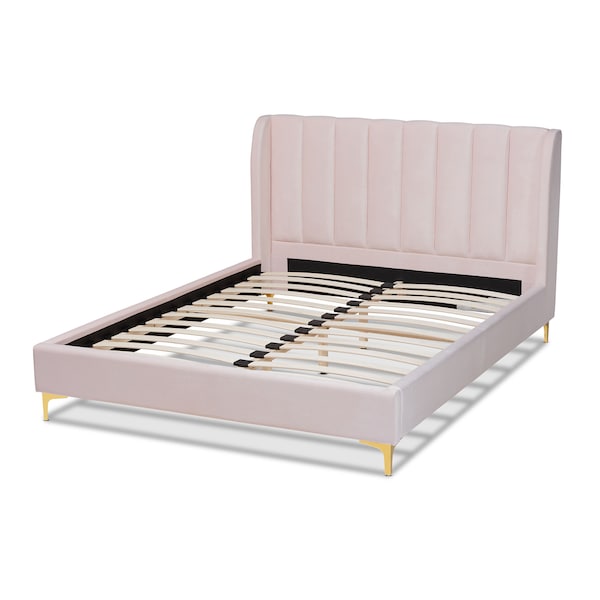 Baxton Studio Saverio Pink Velvet Queen Size Platform Bed with Gold-Tone Legs - 156-9099