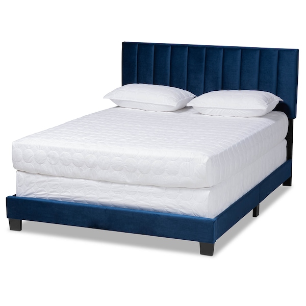 Baxton Studio Clare Navy Blue Velvet Queen Size Panel Bed with Tufted Headboard - 163-10499