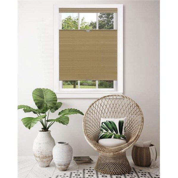 Achim Importing Achim CSTD39WT06 39 x 64 in. Top Down-Bottom Up Cordless Honeycomb Cellular Shade; Wheat - CSTD39WT06