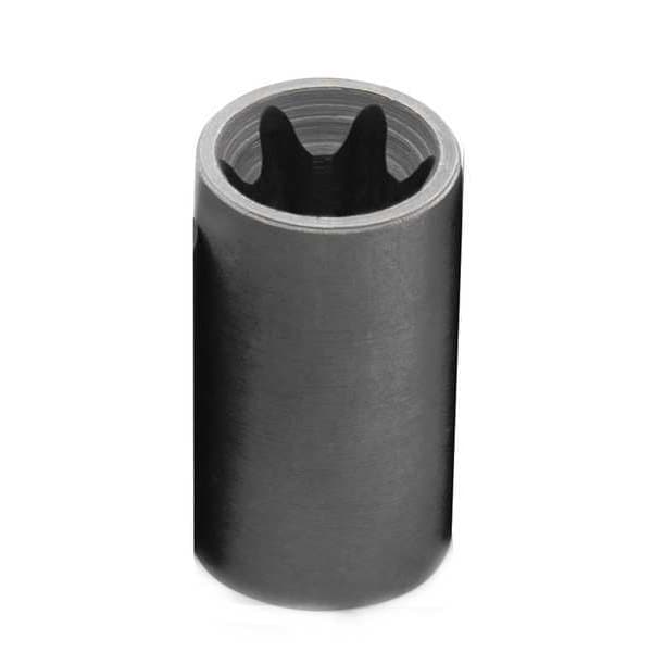 Herramientas Profesionales SK 1/2 pulgadas, Dado Hembra Torx(R) SAE E20, de 6 Puntas - 42620