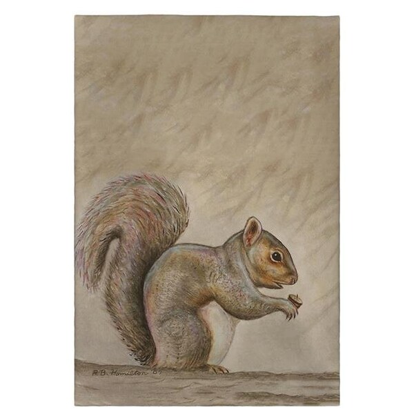 Betsy Drake Betsy Drake GT314 Squirrel Guest Towel - 20 x 20 in. - GT314