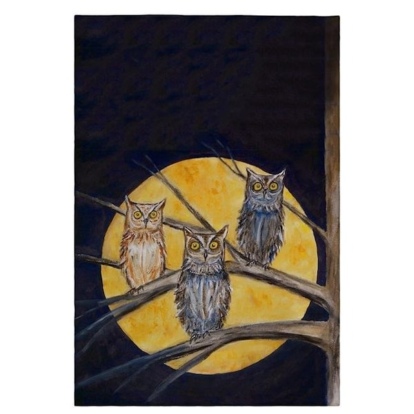 Betsy Drake Betsy Drake GT248 Night Owls Guest Towel - 20 x 20 in. - GT248