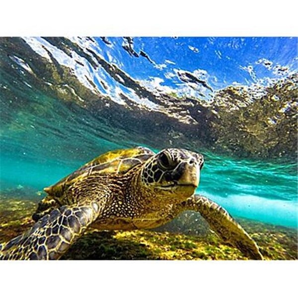 Versatraction VersaTraction's Kahuna Grip Bathmat - Sea Turtle 2 - KG-JNAHST2