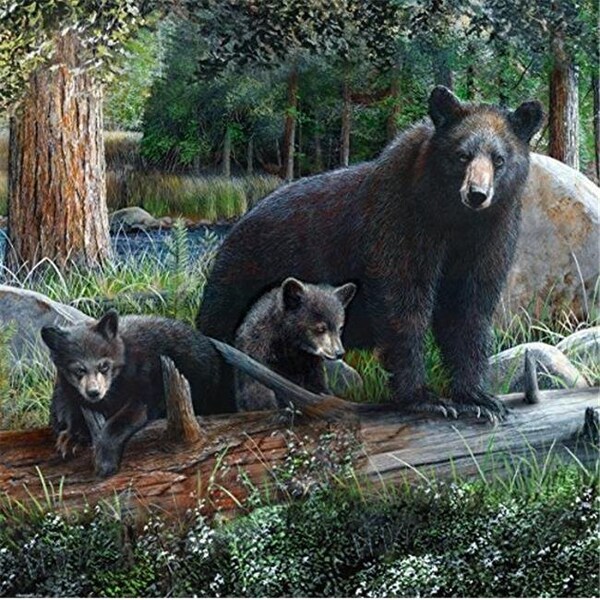 Dlc DLC 62014 Rustic Black Bear & Cubs Shower Curtain - 0.1 x 70.75 x 70.75 in. - 62014