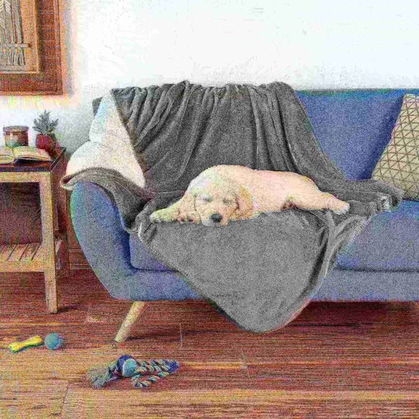 Pet Adobe Pet Adobe Waterproof Pet Blanket, Washable, Bed and Furniture Protector, 50-inch x 60 inch, Gray - 192262ANN