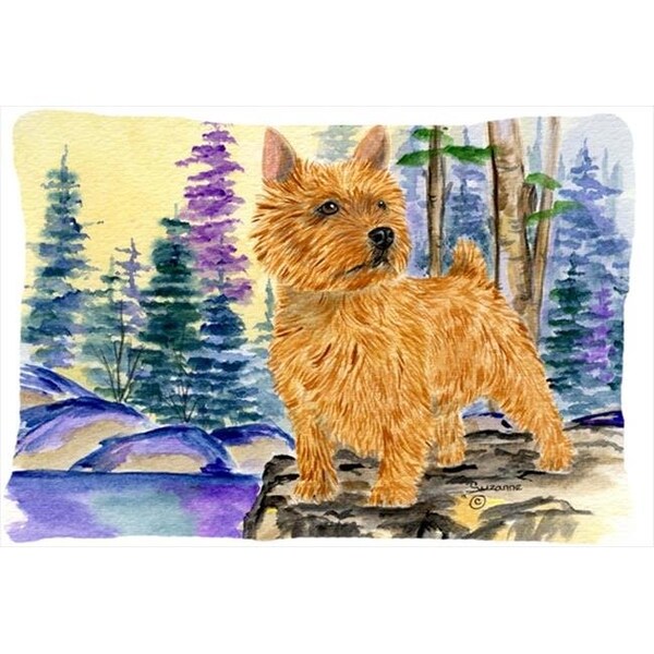 Carolines Treasures Carolines Treasures SS8011PW1216 12 x 16 in. Norwich Terrier Decorative Indoor & Outdoor Fabric Pillow - SS8011PW1216