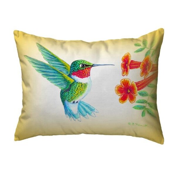 Betsy Drake Betsy Drake NC1093 16 x 20 in. Dicks Hummingbird Non-Corded Indoor & Outdoor Pillow - NC1093