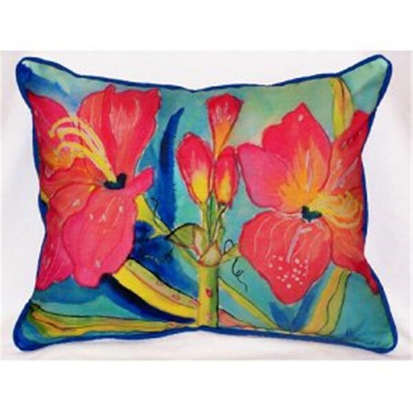Jensendistributionservices Pink Amaryllis Throw Pillow, 20 x 24 in. - MI48750