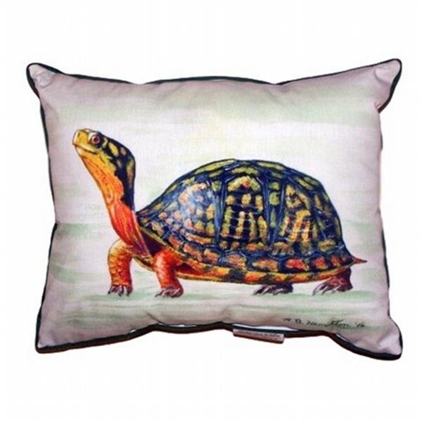 Jensendistributionservices Happy Turtle Extra Large Zippered Pillow - 20 x 24 in. - MI48730