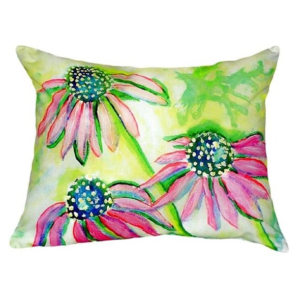 Betsy Drake Betsy Drake NC195 16 x 20 in. Cone Flowers No Cord Pillow - NC195