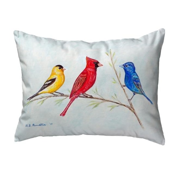 Betsy Drake Betsy Drake KS298 11 x 14 in. Three Birds Small No-Cord Pillow - KS298