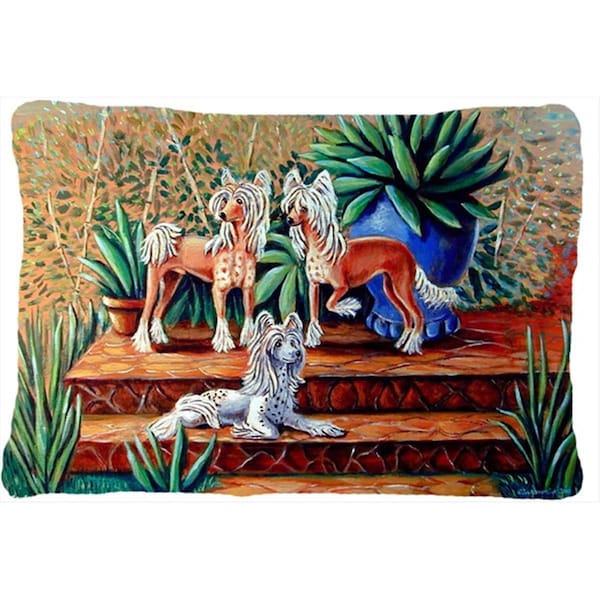 Jensendistributionservices 12 x 16 in. Chinese Crested Decorative Indoor & Outdoor Fabric Pillow - MI2549759