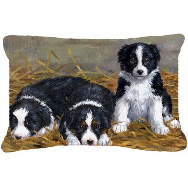 Carolines Treasures Carolines Treasures ASA2196PW1216 Border Collie Puppies Fabric Decorative Pillow - ASA2196PW1216