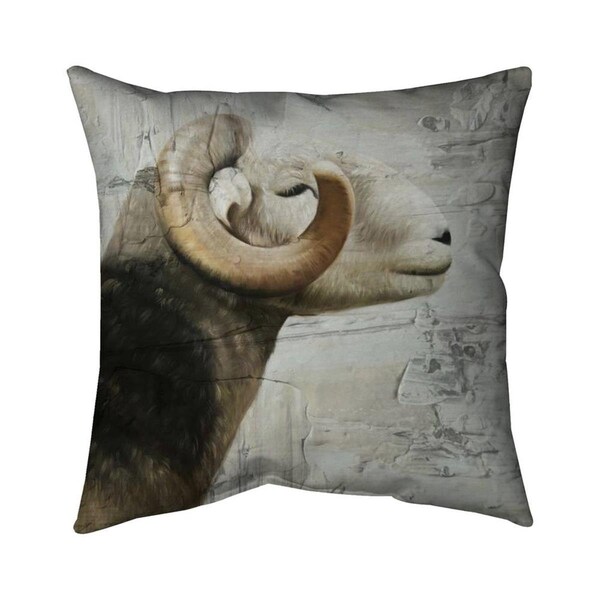 Fondo 20 x 20 in. Aries-Double Sided Print Indoor Pillow - FO2775240