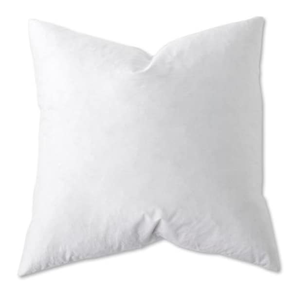 Back2Basics White Down Alternative EURO Pillow - 26 x 26 in. -Pack of 2 - BA17791