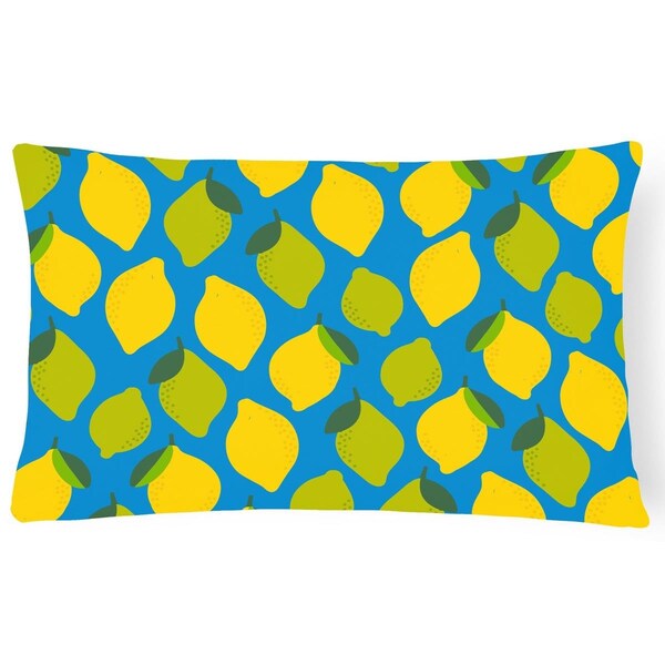 Jensendistributionservices Lemons & Limes Canvas Fabric Decorative Pillow - MI2550426