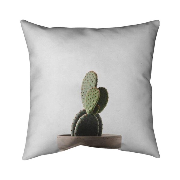 Fondo 26 x 26 in. Potted Cactus-Double Sided Print Indoor Pillow - FO2793279