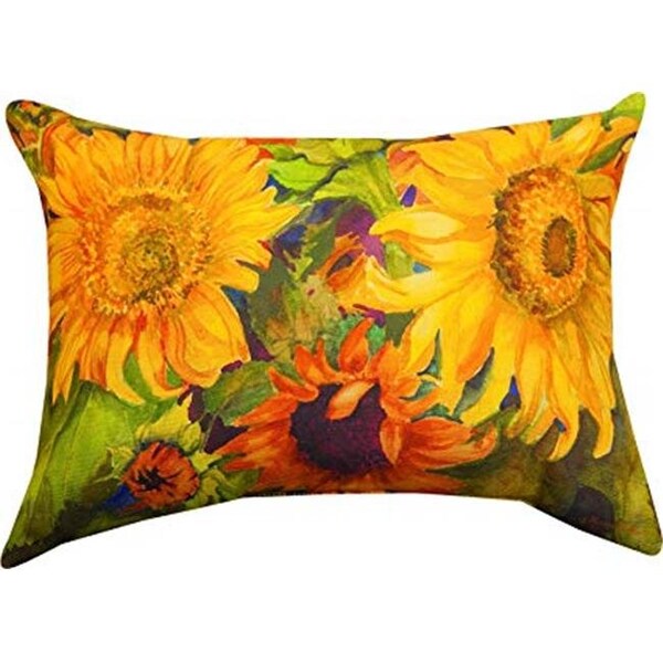 Manual Woodworkers & Weavers Manual Woodworkers & Weavers SHSUNF 18 x 13 in. Sunny Faces Dye 100 Hours Pillow - SHSUNF