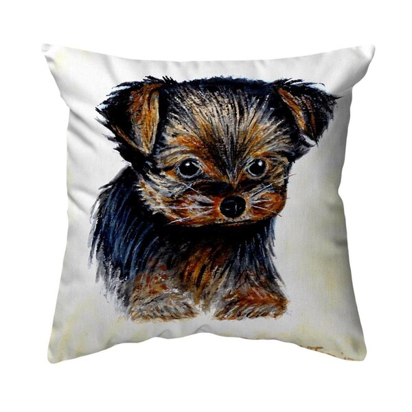 Betsy Drake 18 x 18 in. Tauris No Cord Pillow - NC849