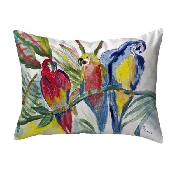 Betsy Drake Betsy Drake KS217 11 x 14 in. Parrot Family Small No-Cord Pillow - KS217