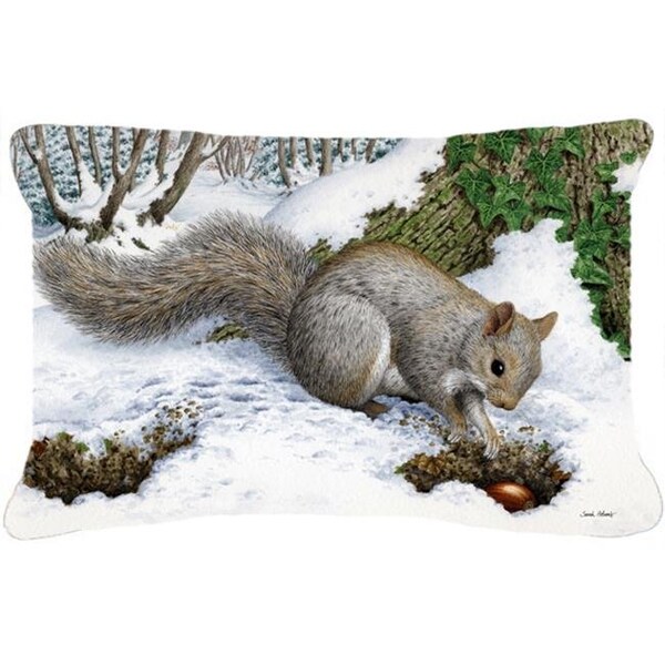 Carolines Treasures Carolines Treasures ASA2180PW1216 Grey Squirrel Fabric Decorative Pillow - ASA2180PW1216