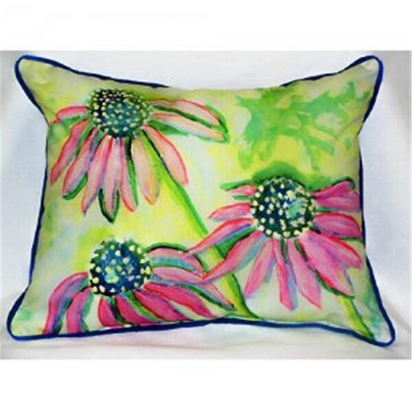 Betsy Drake Cone Flowers Throw Pillow- 20 x 24 in. - ZP195