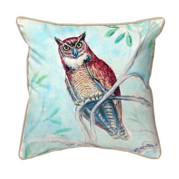 Betsy Drake Betsy Drake HJ732 18 x 18 in. Owl in Teal Large Indoor & Outdoor Pillow - HJ732