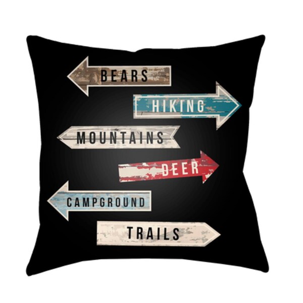 Artistic Weavers Lodge Cabin Compass Poly Filled Pillow - 20 x 20 in. - LGCB2064-2020