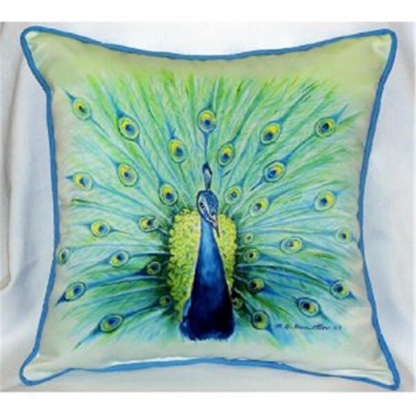 Jensendistributionservices Peacock Throw Pillow, 22 x 22 in. - MI48761