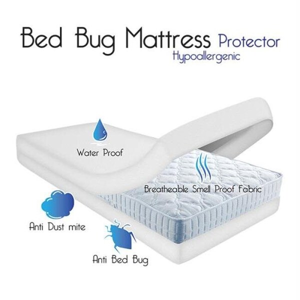 Remedy Remedy Bed Bug Dust Mite Cotton Mattress Protector- Queen - 64-00001-Q