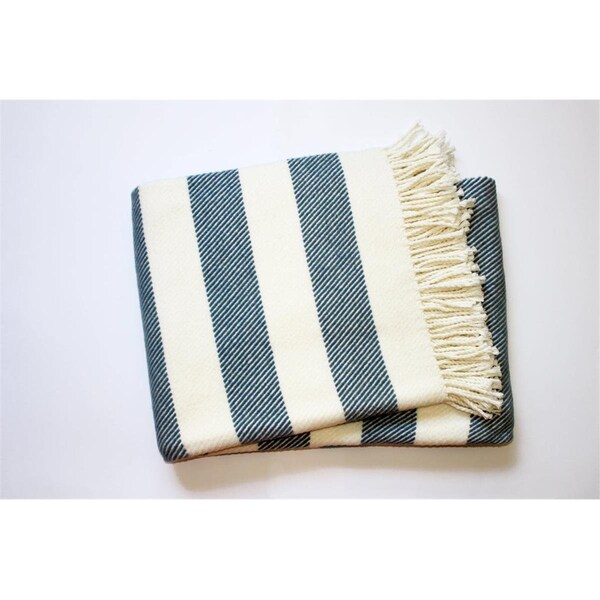 Homeroots Cream & Slate Slanted Stripe Fringed Throw Blanket - 475718