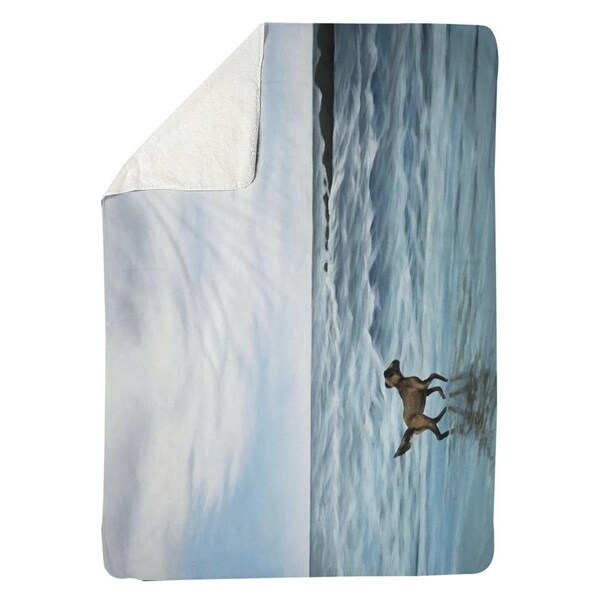 Kd Cuna 60 x 80 in. Dog on the Beach-Sherpa Fleece Blanket - KD2791012