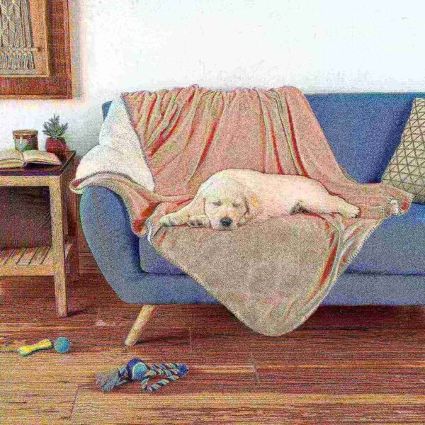 Pet Adobe Pet Adobe Waterproof 50x60in Pet Throw Blanket, Pink - 696639YMA