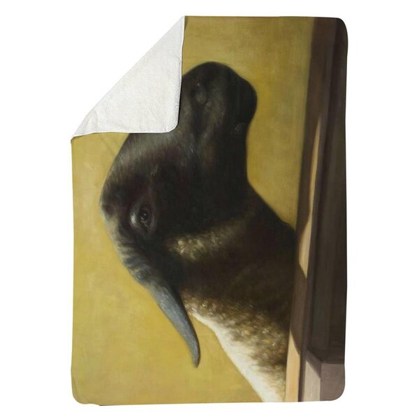 Kd Cuna 60 x 80 in. Young Ram-Sherpa Fleece Blanket - KD2786964