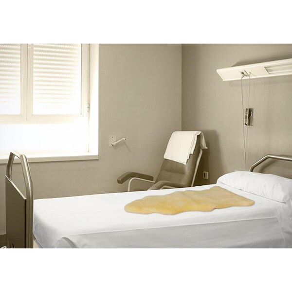 Homeroots 2 x 3 ft. Natural Off White Medical Grade Sheepskin Throw Blanket - 388643