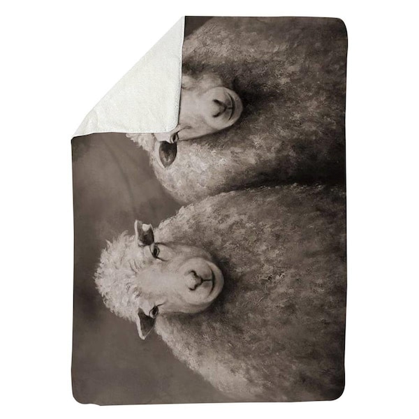 Kd Cuna 60 x 80 in. Sheep Sepia-Sherpa Fleece Blanket - KD2792493