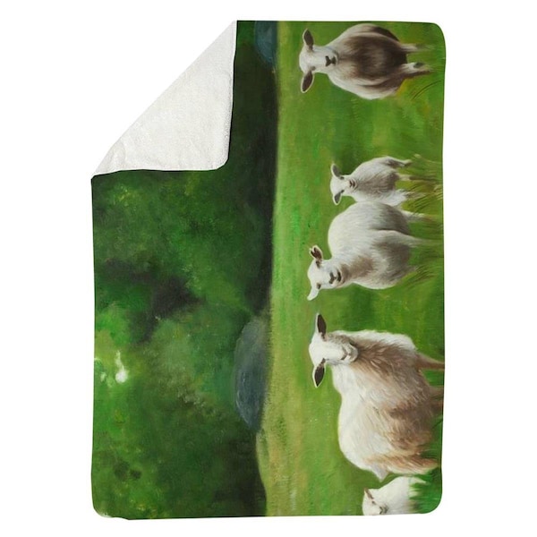 Kd Cuna 60 x 80 in. Fields of Sheep-Sherpa Fleece Blanket - KD2787961