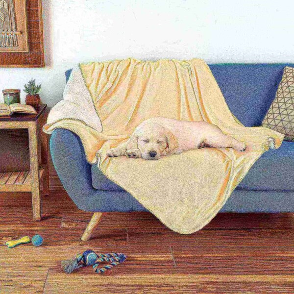 Pet Adobe Pet Adobe Waterproof Pet Throw Blanket, Cream - 193138LJK