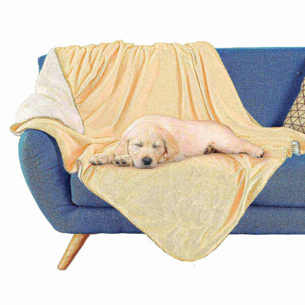 Pet Adobe Pet Adobe Waterproof Pet Throw Blanket, Cream - 193138LJK