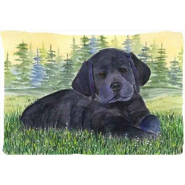 Carolines Treasures Carolines Treasures SS8343PILLOWCASE 20.5 x 30 in. Labrador Moisture Wicking Fabric Standard Pillowcase - SS8343PILLOWCASE