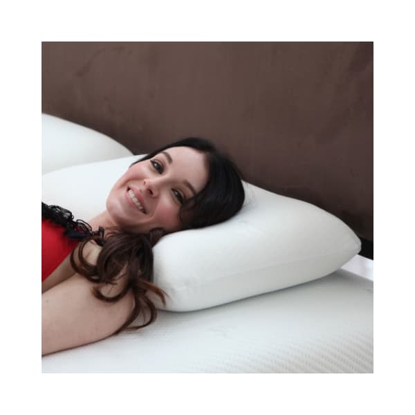 Hastings Home Hastings Home Comfort Gel Memory Foam Pillow with Cover - 126113MAL