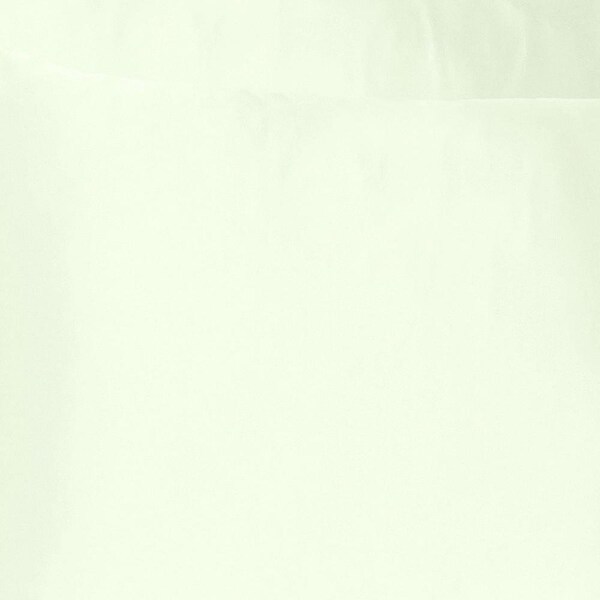 Homeroots 20 x 40 in. Ivory Dreamy Silky Satin King Size Pillowcases - 387854
