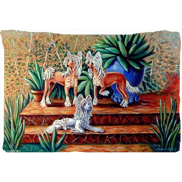 Carolines Treasures Carolines Treasures 7505PILLOWCASE 20.5 x 30 in. Chinese Crested Moisture Wicking Fabric Standard Pillowcase - 7505PILLOWCASE
