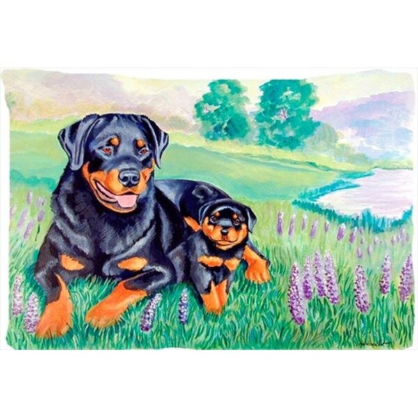 Carolines Treasures Carolines Treasures 7141PILLOWCASE 20.5 x 30 in. Rottweiler Moisture Wicking Fabric Standard Pillowcase - 7141PILLOWCASE
