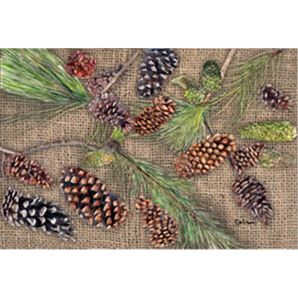 Jensendistributionservices Pine Cones Moisture Wicking Fabric Standard Pillowcase - 20 x 30 in. - MI227547