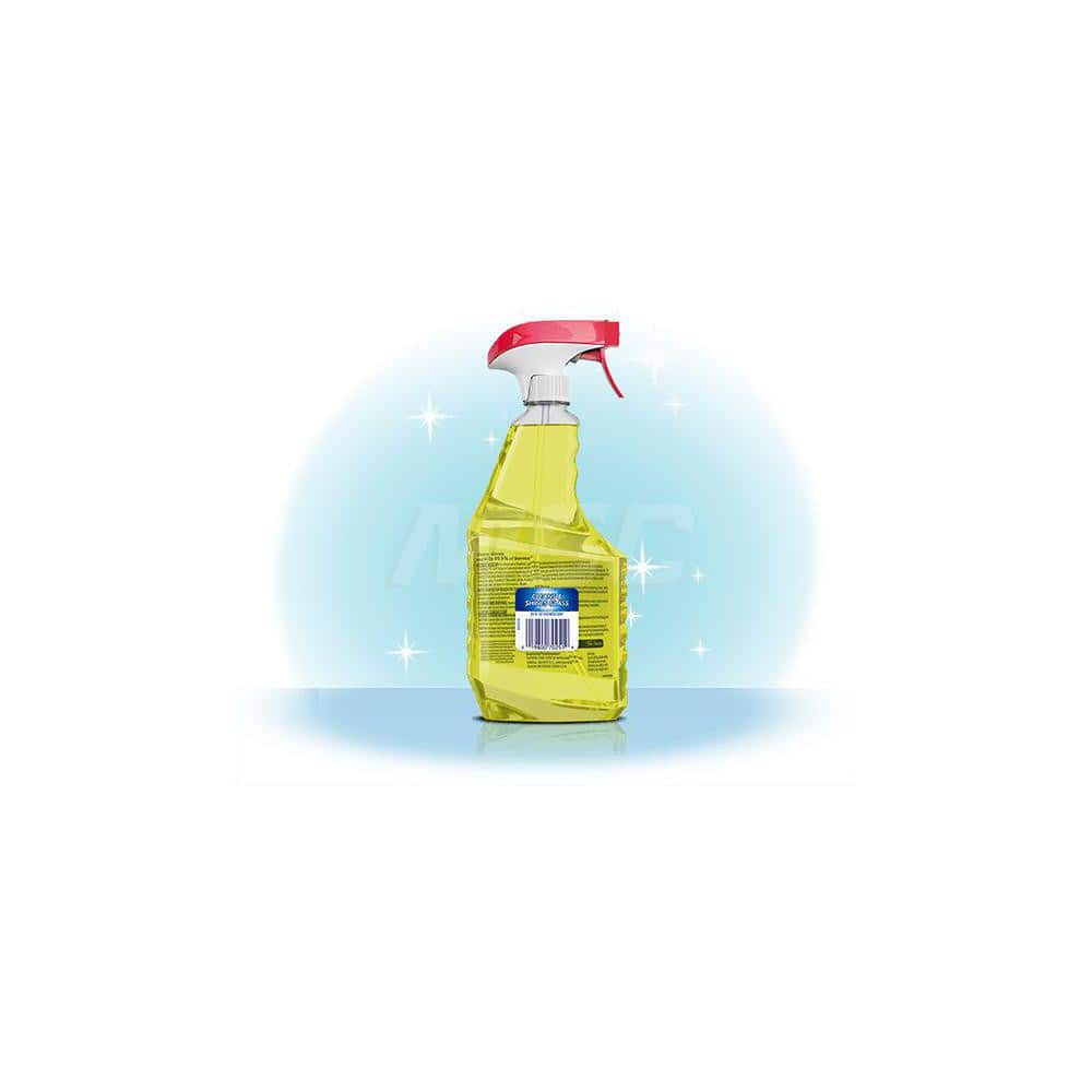 Windex All-Purpose Cleaner:  1 gal, Bottle,  Disinfectant - 2648590