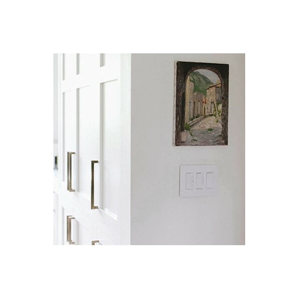 Zoro Select Rocker Wall Plate, Number of Gangs: 3 Plastic, Smooth Finish, White - RWP263W