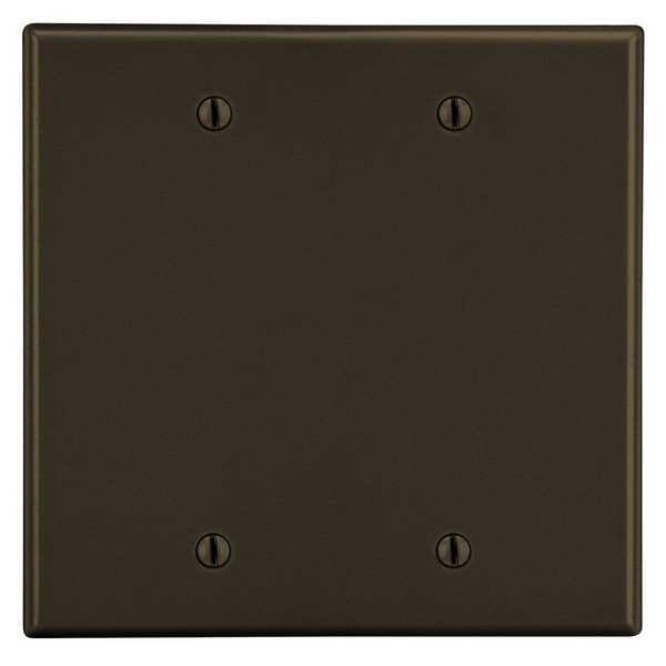 Hubbell Blank Box Mount Wall Plate, Number of Gangs: 2 Plastic, Smooth Finish, Brown - PJ23